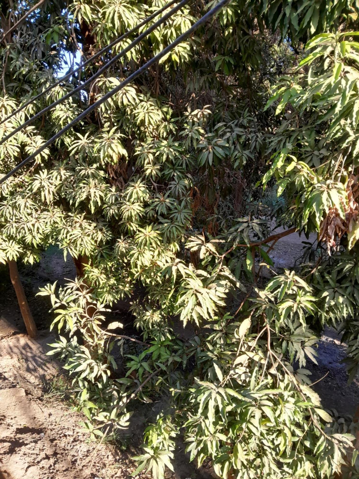 Ostello Kashta Nubian Guest Houst Assuan Esterno foto