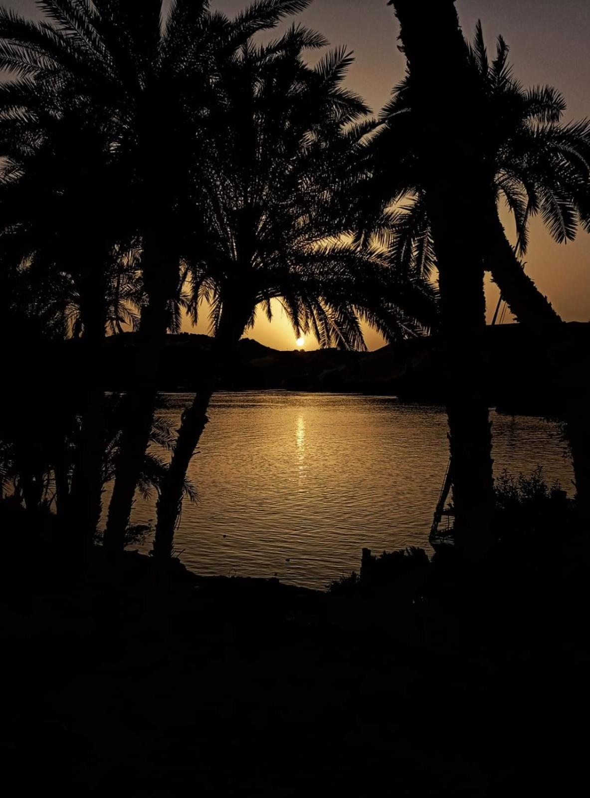 Ostello Kashta Nubian Guest Houst Assuan Esterno foto
